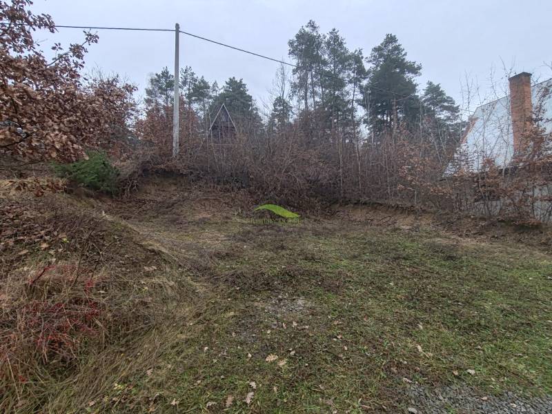 Grassy slope near the Cottage on Main Street in the village of Nová Kelča, surrounded by trees.