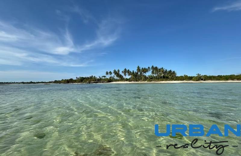 The beach and palm trees in Kizimkazi attract investments in commercial land.