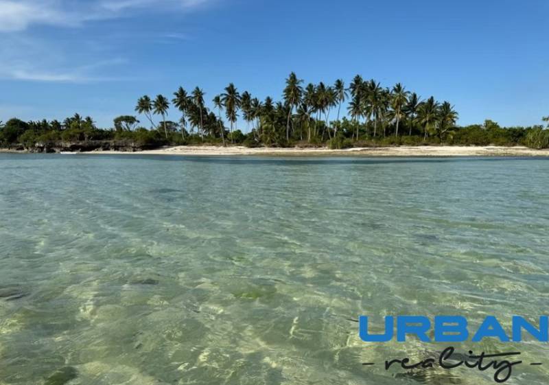 Clear water and palm trees on the beach in Kizimkazi for Land - commercial.