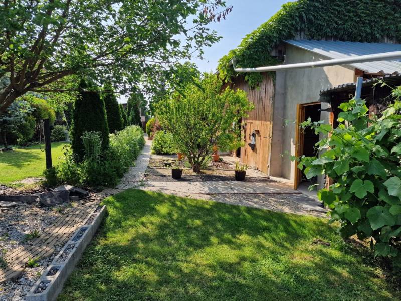 The garden of a family house in Dlhá nad Váhom with green plants and a building clad in wood.