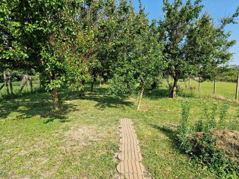 A garden in a family house in Dlhá nad Váhom with fruit trees and a lawn.