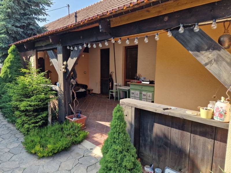 A family house in Dlhá nad Váhom with a terrace, wooden elements, and garden decorations.