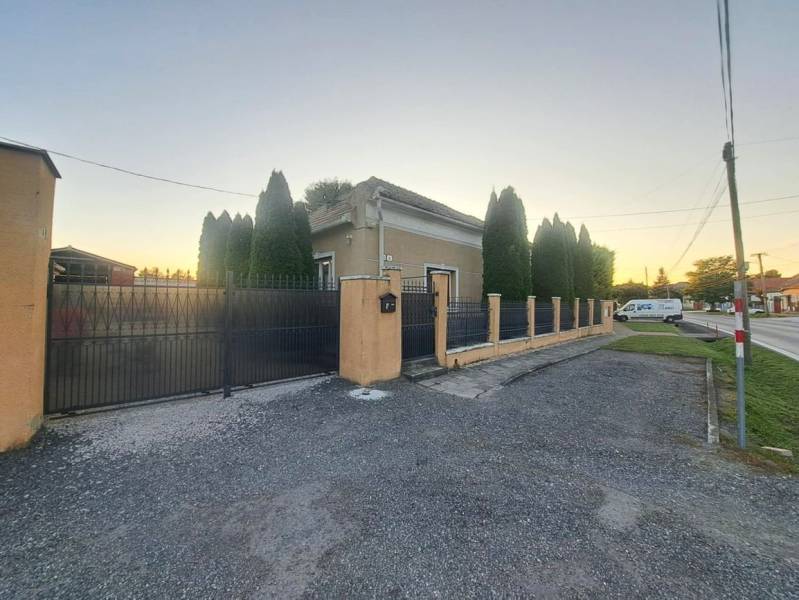 A family house in Kolárovo with tall thujas and a metal fence by the road.