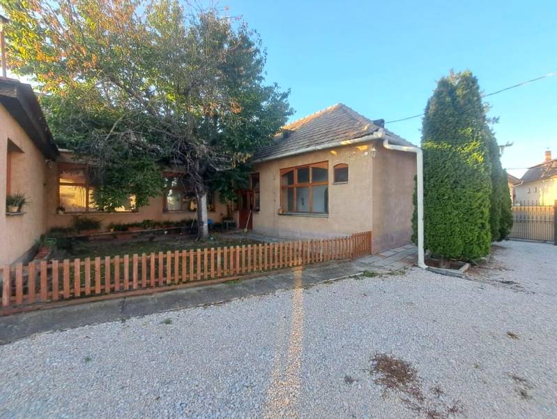 A family house in Kolárovo with a front garden, a tree, and a gravel yard.