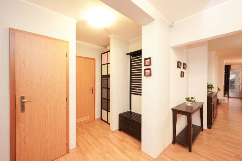 Interior of a family house with a wooden decor floor, colorful cabinets, and a flower pot.