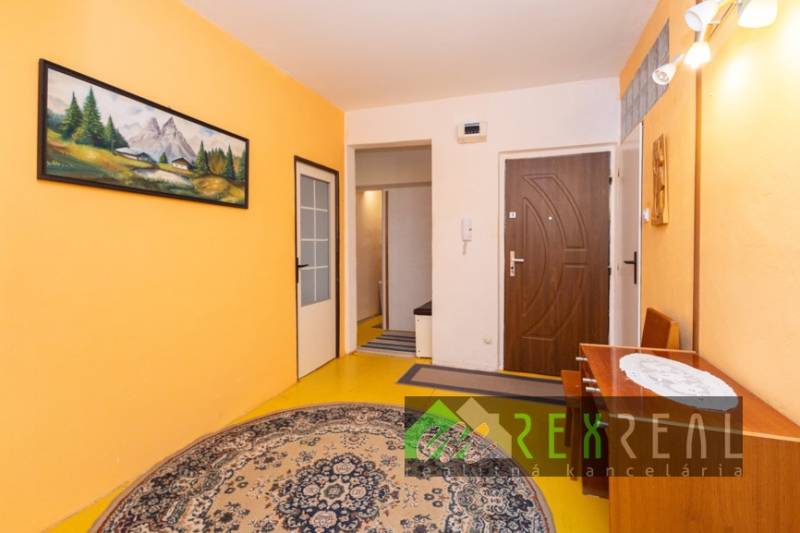 A hallway in a 4-room apartment with a round carpet, yellow walls, and a painting of mountains.
