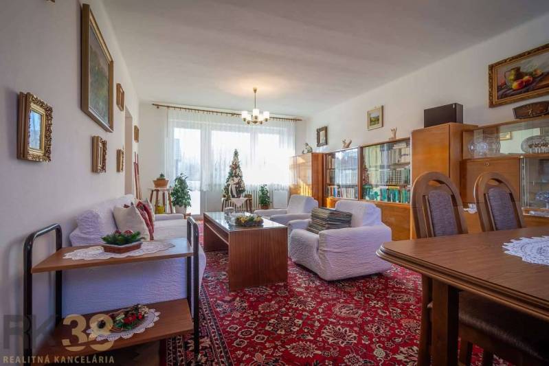 Living room of a family house with furniture, a Christmas tree, and a red carpet.