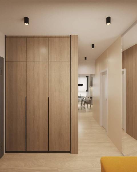 Interior with wood-patterned flooring and built-in wardrobe.