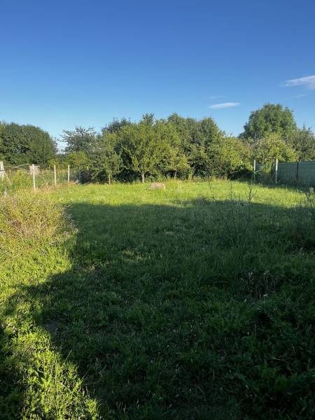 A garden at a family house in Diakovce with lush grass and green shrubs.