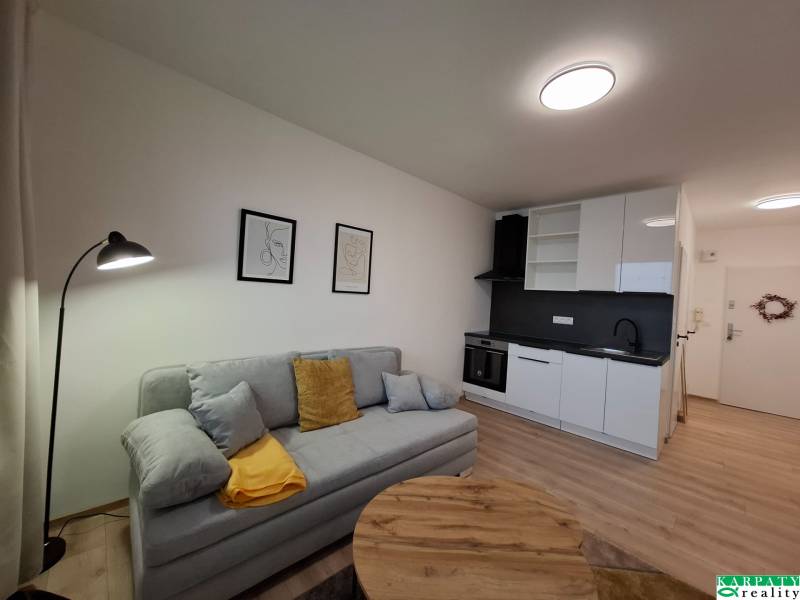 Studio apartment with a kitchen, sofa, and wood-patterned flooring, minimalist wall decoration.