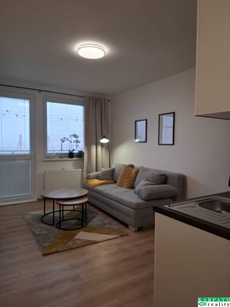 A studio apartment with a wooden floor, a gray sofa, and a coffee table.
