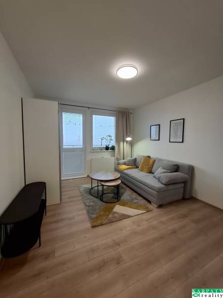 Studio apartment with a sofa, coffee table, and wood-patterned flooring.