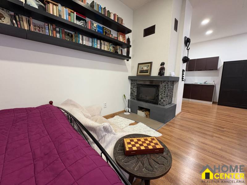 Fireplace, library, and kitchen in a studio apartment with a wood-patterned floor.