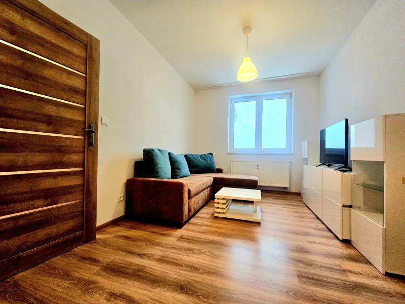 Living room in a two-room apartment with a sofa and wooden decor flooring.