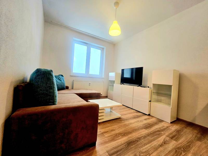 Living room of a two-room apartment with a sofa, television, and wooden decor flooring.