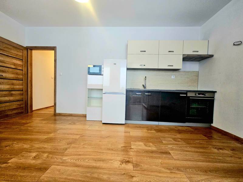 A kitchen with a countertop and appliances in a 2-room apartment with a wooden decor floor.