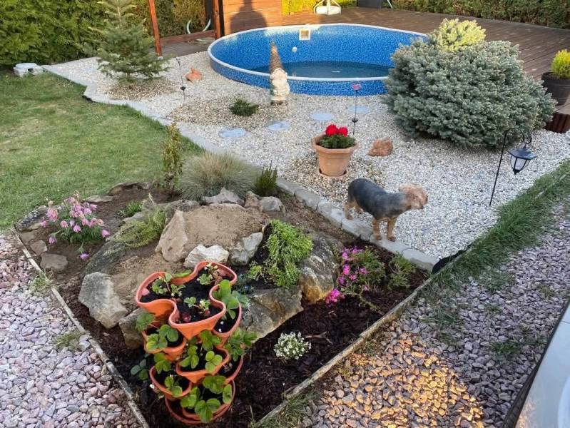 A garden in Kráľová nad Váhom near a cottage with a swimming pool, flowers, and a dog.