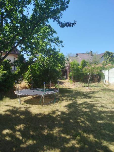 The garden of a family house in Tešedíkovo with a grassy area, a trampoline, and trees.