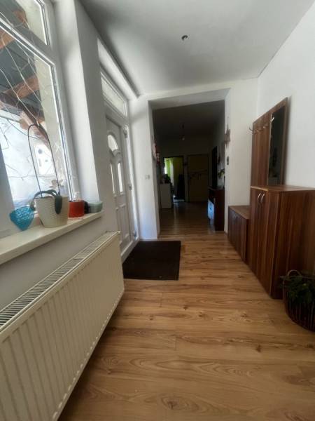 A hallway of a family house with a wooden decor floor, a shoe cabinet, and a plant.