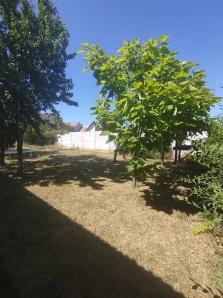 The garden of a family house in Tešedíkovo with a lawn and trees.