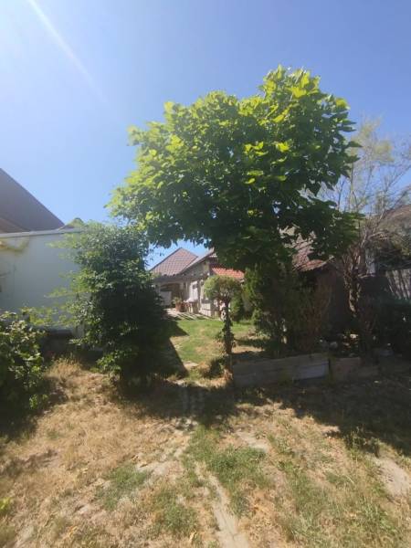 A family house in Tešedíkovo with a front garden, trees, and a lawn under the blue sky.