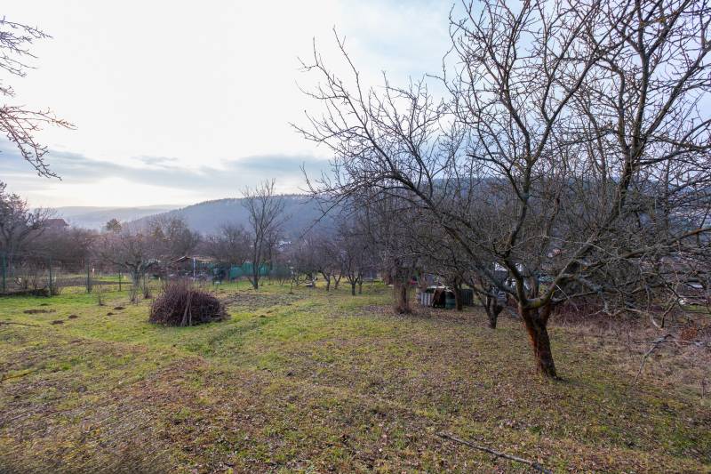 Garden by the Cottage in Prešov, with fruit trees and grass on a sloping terrain.