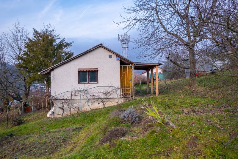 A cottage in Prešov surrounded by fruit trees and lush greenery on a sloping plot.
