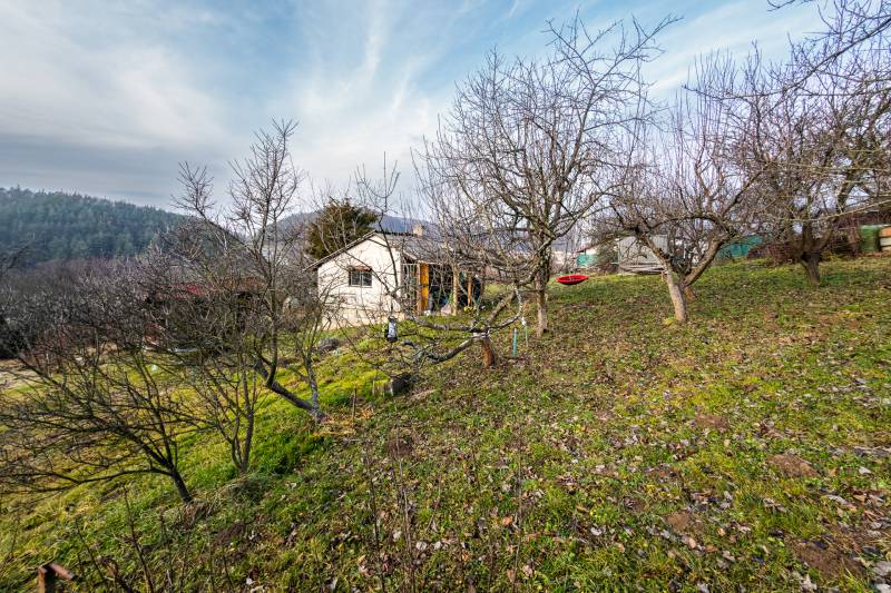 A cottage among fruit trees on a hillside near Prešov during winter.