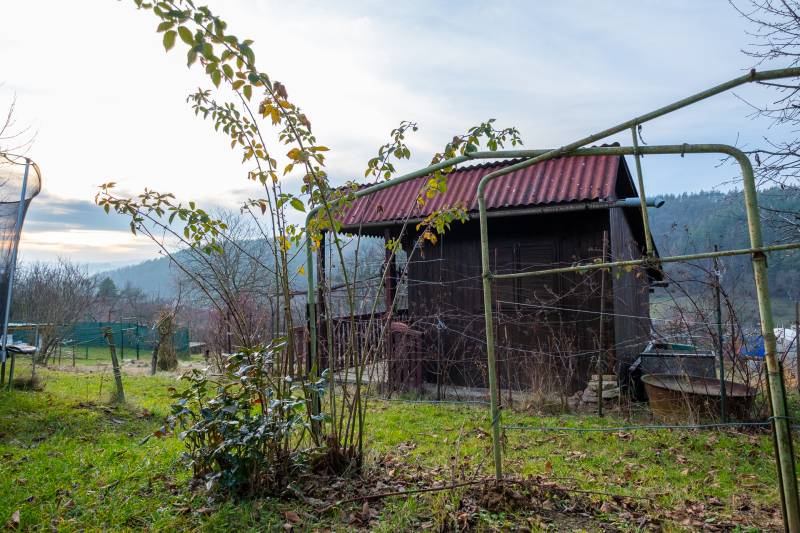 A cottage near Prešov surrounded by greenery, with a bush growing in the yard under an arched structure.