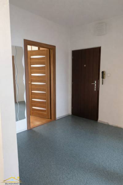 Entrance hallway in a 3-room apartment with wood decor doors and a mirror.