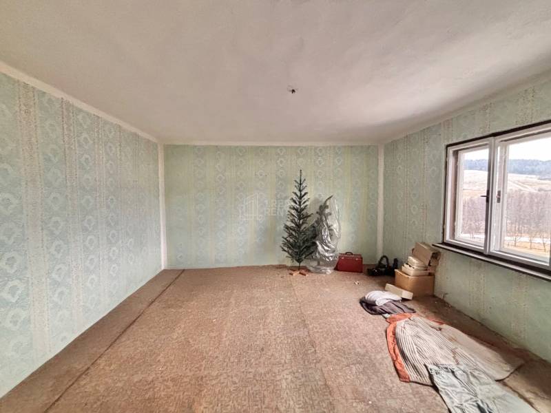 A room in a family house with blue wallpaper, a tree, a window, and stored items.