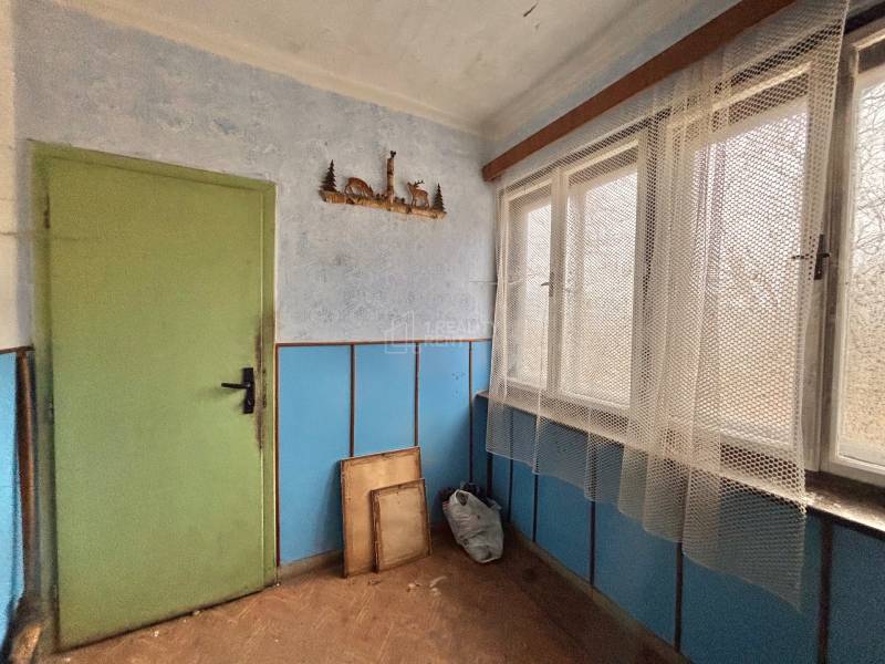 Interior of a family house with wood-patterned flooring, blue walls, and green doors.