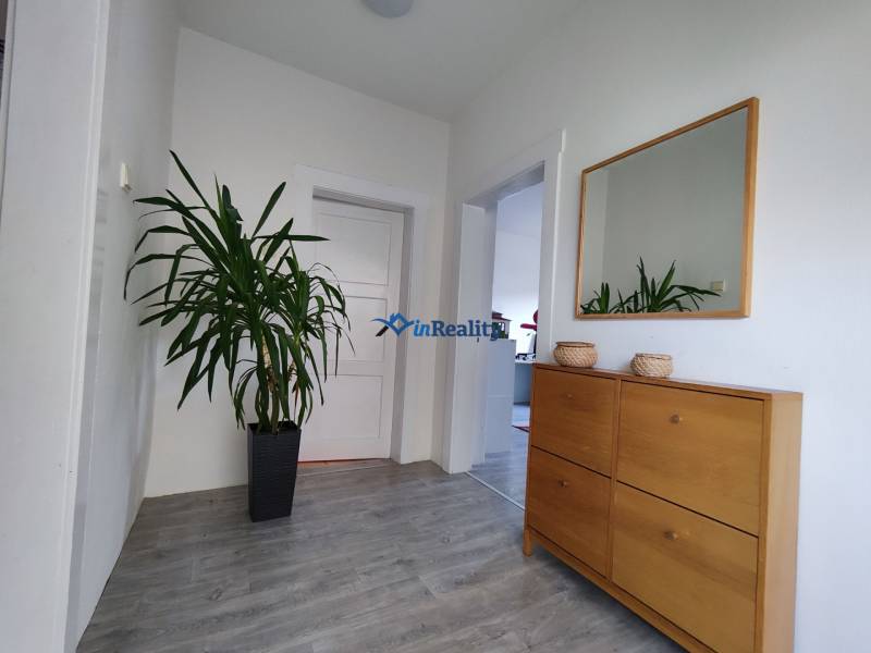 A hallway with a wooden decor floor, a mirror, and a plant in a family house.