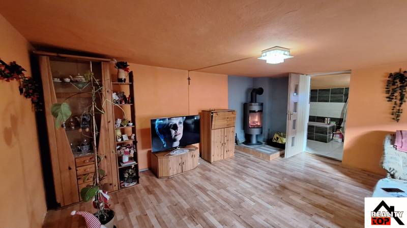 Living room with wood-patterned flooring, fireplace, and television in a family house.