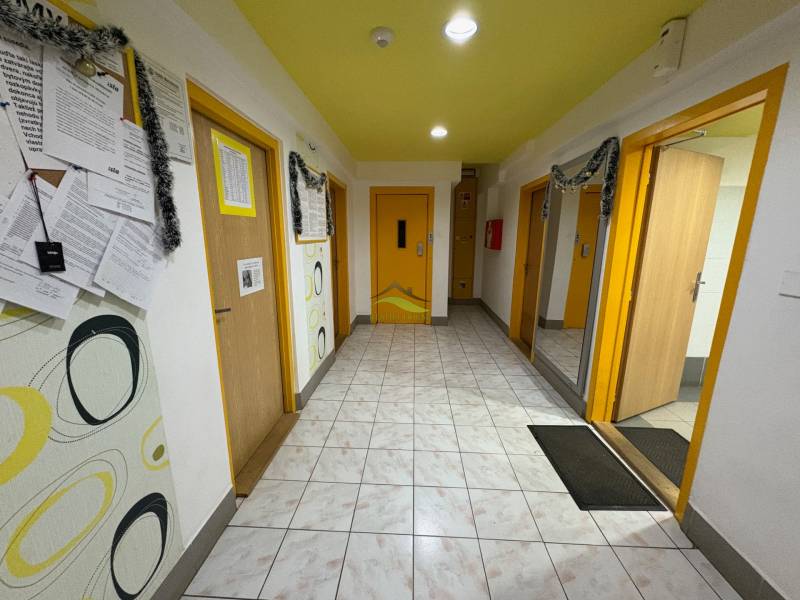 Hallway of a 3-room apartment with tiles, decorations, and decorated doors.