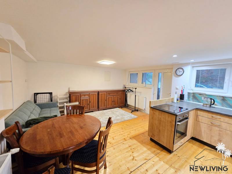 Living room in a studio apartment with wood-patterned flooring, a sofa, and a dining table.