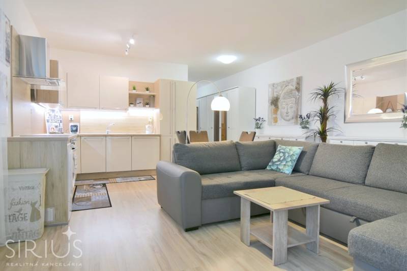 Living room with a kitchenette and a wooden decor floor in a 2-room apartment.