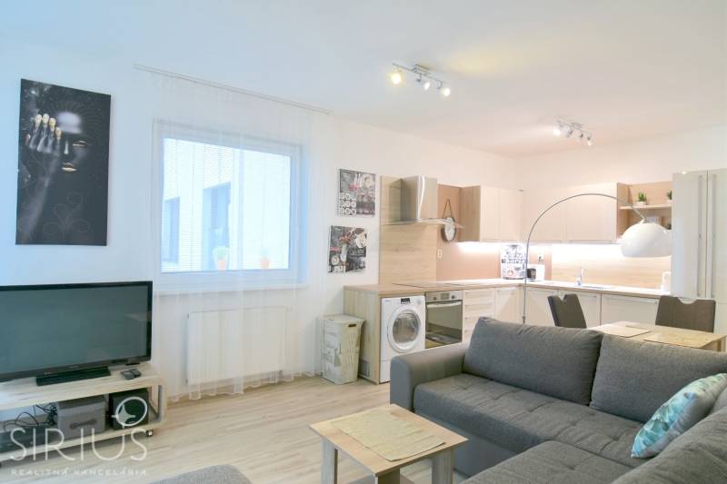 Living room with a kitchenette, sofa, and wooden decor flooring in a 2-room apartment.