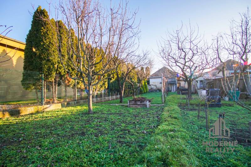 A garden at a family house in Nové Zámky on Pod kopcom Street, with a lawn and trees.