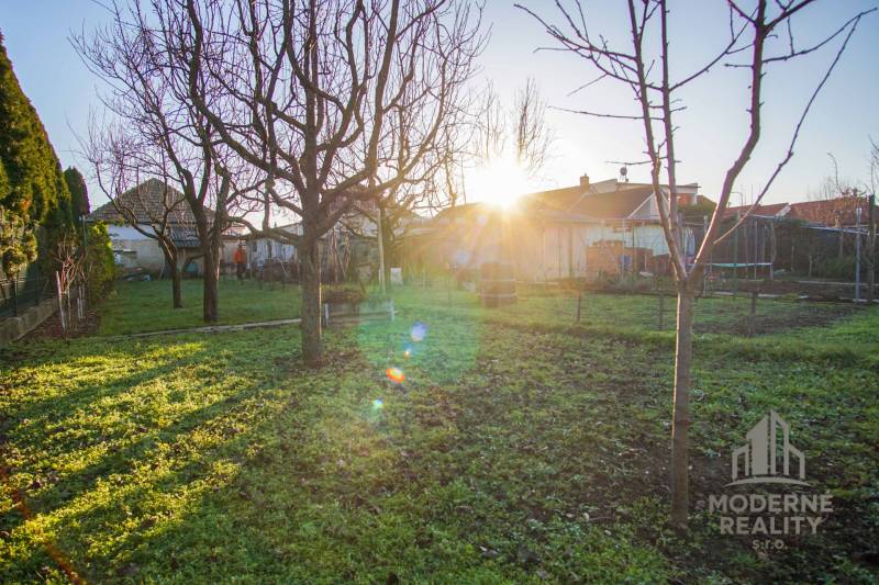 The garden of the family house on Pod kopcom Street in Nové Zámky with sunlight.