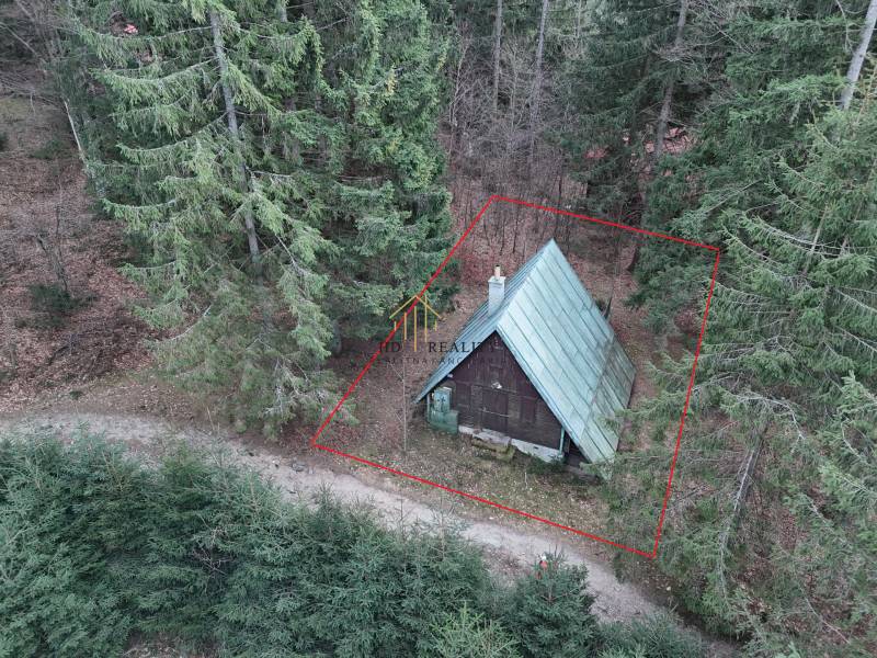 A cabin in the forest at Krpáčovo, Krpáčovo, surrounded by dense coniferous trees and a forest path.