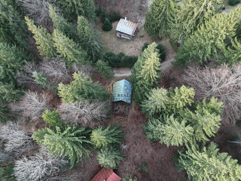 Aerial view of a cabin in Krpáčovo surrounded by dense forest and trees.