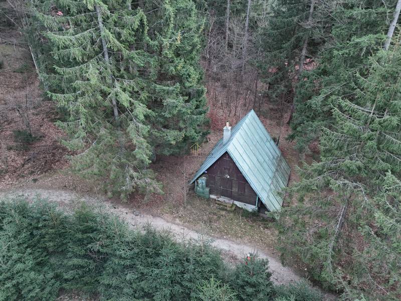 A cabin in the middle of the forest in Krpáčovo at Krpáčovo surrounded by dense trees.