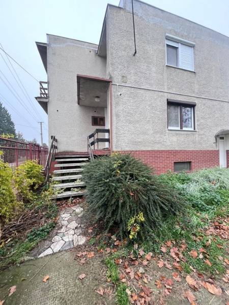 A family house in Dlhá nad Váhom with a brick plinth, staircase, and landscaped garden.