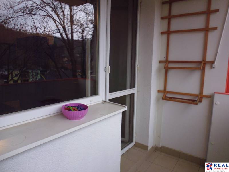 The balcony of a 2-room apartment with a view of the trees, a clothesline structure, and a bowl for bleaching.