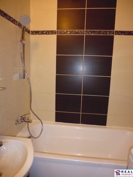A bathroom with a shower and a bathtub, suitable for a 2-room apartment.
