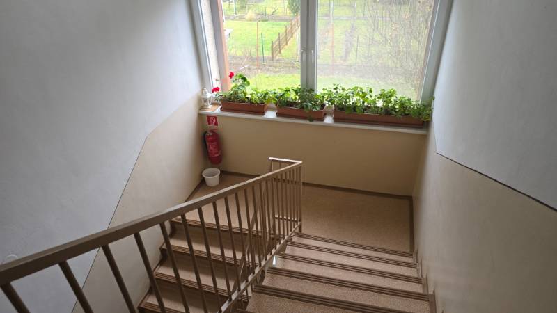 Staircase with flowers on the windowsill, metal railing, fire extinguisher, view into the garden.