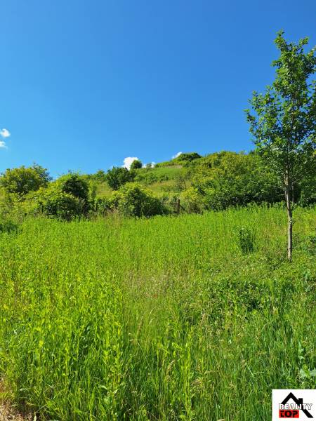 The holy house in Šíd is surrounded by lush green nature and a blue sky.