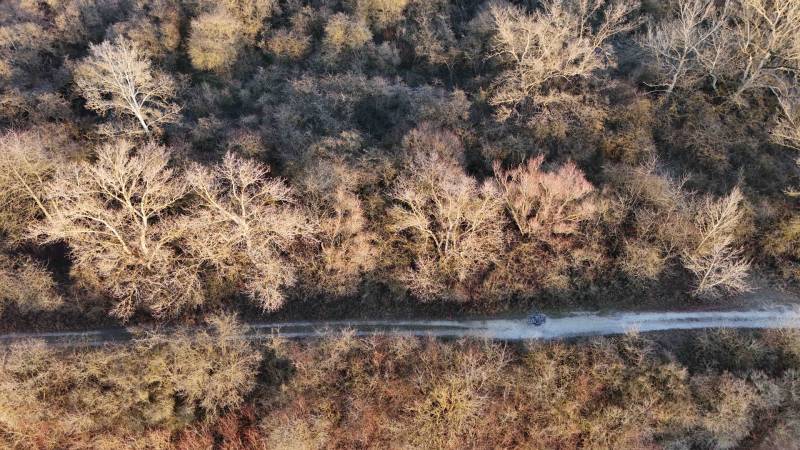 Aerial view of a forest road in the Recreational Lands near Nová Ves nad Váhom.