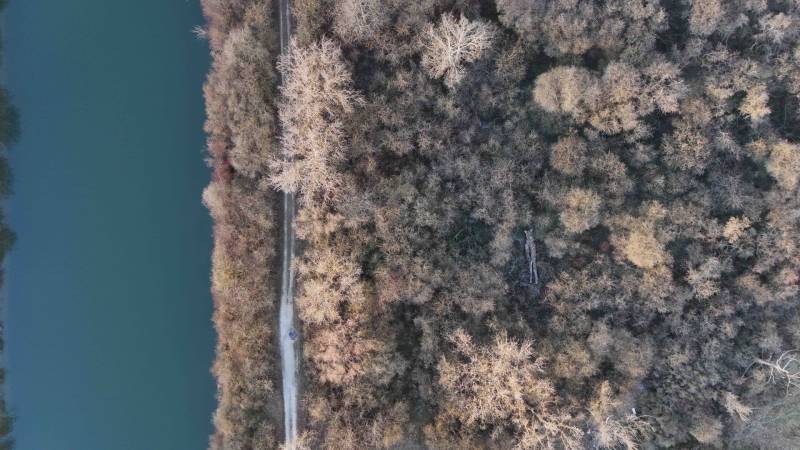 Aerial view of the forest in Nová Ves nad Váhom near the Recreational Grounds. The road runs alongside the river.